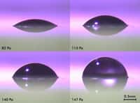 Le rayon de courbure de la lentille liquide augmente avec sa pression