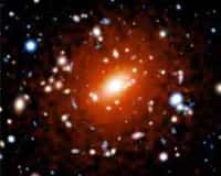 L'amas de galaxies MACSJ1423 vu par Chandra. Photo: NASA