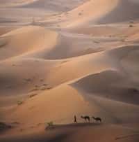 Le mystère des sons du désert résolu