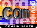 L'essor des noms de domaine