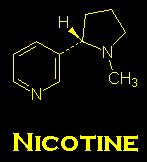 Structure de la nicotine