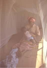 Moustiquaire protégeant du paludisme en Zambie