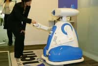 Robot d'accueil japonais loué à l'heure.