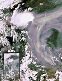 Cette image de la situation des incendies en Russie a été acquise le 10 août par l’instrument Meris du satellite Envisat. Comparée à des images précédentes, elle permet de suivre l’évolution des feux et du nuage de particules qui s’est formé. Crédit Esa