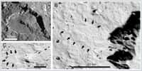 Ces images montrent différents glissements de terrain observés à la surface de Japet, l'un des satellites glacés de Saturne. © Nasa/ B. McKinnon