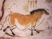 Un cheval dans la Grotte de Lascaux. Crédit Ministère de la Culture