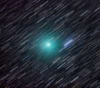 La comète Lemmon photographiée le 23 janvier dernier avec un télescope de 41 cm de diamètre installé en Nouvelle-Zélande. La couleur verte de la comète est produite par la fluorescence du cyanogène (C2N2) et du carbone diatomique (C2). Le télescope a suivi le déplacement de la comète (alors de magnitude 7) pendant les 20 minutes de pose, ce qui explique pourquoi les étoiles ont laissé des traits. © John Drummond