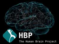 Un logo de présentation du&nbsp;Human Brain Project. Il est destiné à catalyser des avancées en neuroscience et en informatique. ©&nbsp;Human Brain Project
