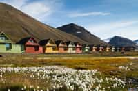 Au Svalbard et du côté de Longyearbyen, les records de température tombent les uns après les autres. © luca.viola(IT), Adobe Stock