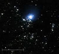 Image composite où Hubble montre une séries d'étoiles bleues et chaudes avec une image brillante de M33-7 en rayons X donnée par Chandra.(Crédit: X-ray: NASA/CXC/CfA/P.Plucinsky et al.; Optical: NASA/STScI/SDSU/J.Orosz et al. )