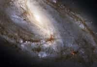 Toute la richesse stellaire de la galaxie M 66 dans le Lion est révélée sur cette image réalisée par le télescope spatial Hubble. Crédit Nasa/Esa/Hubble Heritage