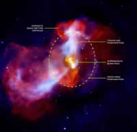 Ce cliché de la galaxie M 87 montre comment les particules énergétiques émises par le trou noir central repoussent le gaz environnant la galaxie. Crédits : Rayons X : Nasa/CXC/KIPAC/N. Werner, E. Million et al. ; Radio : NRAO/AUI/NSF/F. Owen

