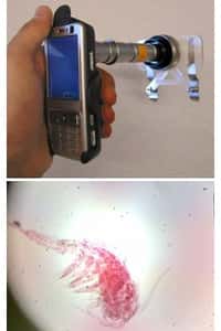En bref : un téléphone portable microscope !