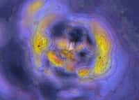 Sur cette tranche de notre Univers local, les orbites que les galaxies ont suivies en blanc et les contours des régions de haute densité dans des tons jaune-orange. La Voie lactée est près du centre. Le noyau du « grand attracteur » du superamas de Laniakea se trouve à gauche, à environ 250 millions d’années-lumière de notre Galaxie et le superamas de Persée-Poissons est à une distance similaire de nous à droite. © Edward Shaya, Université du Maryland