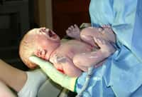 A la naissance, un nouveau-né doit avoir le réflexe de respirer. © Gengiskanhg / Licence Creative Commons