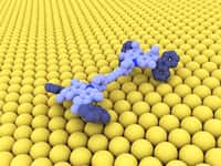 La voiture moléculaire de 4 x 2 nanomètres circule sur une surface de cuivre avec ses roues entraînées électriquement. À la base, il s'agit d'une molécule sublimée sur une surface de cuivre à une température de 7 kelvins. Une tension d’au moins 500 millivolts est appliquée à la pointe d'un microscope à effet tunnel à la bonne distance de sorte que des électrons traversent la molécule, déclenchant une modification structurelle réversible dans chacune des « roues » que l'on voit sur le schéma ci-dessus. © Empa Switzerland