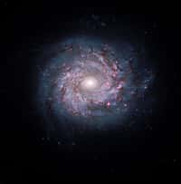 NGC 3982 photographiée par le télescope spatial Hubble. © Nasa/Esa/The Hubble Heritage Team (STScI/AURA)
