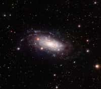 NGC 3621, une galaxie spirale à disque pur située dans la constellation de l'Hydre. © ESO/ J. De Pasquale
