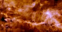 À l’aide de Alma, le Grand réseau d’antennes millimétrique/submillimétrique de l’Atacama (Chili), des chercheurs de l’université du Maryland (États-Unis) ont étudié les œufs stellaires du nuage moléculaire du Taureau. © CEA, Herschel