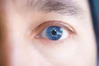Le glaucome est l'une des nombreuses pathologies de l'œil qui affectent la vision. Il existe des solutions thérapeutiques mais celles-ci s'attaquent davantage aux symptômes qu'au problème à la source. En inhibant une des cytokines, on pourrait enfin toucher au cœur de la pathologie.&nbsp;© feastoffun.com, cc by nc sa 2.0