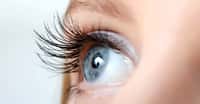 L’œil humain serait-il un extraordinaire photodétecteur ? C'est ce que suggère une nouvelle étude. © Voronin76, Shutterstock