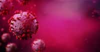Vaccination, mutation, traitements… Comment va évoluer l’épidémie de Covid en 2021 ? © Production Perig, Adobe Stock