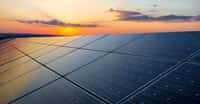 Des chercheurs du MIT et du Masdar Institute proposent des cellules solaires dont l’efficacité serait économiquement intéressante. Entre les cellules photovoltaïques hyper efficaces, mais réservées à des marchés de niche, et les panneaux solaires grand public, ces nouvelles cellules pourraient bien trouver un nouveau marché. © foxbat, Shutterstock
