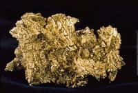 L'or (de symbole Au) est un métal précieux qui se présente sous forme de pépites. On estime que la quantité totale d'or extraite par l'humanité est de 166 kt.&nbsp;© Wikipédia, DP