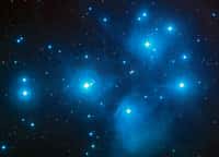 Une image des Pléiades (M45), un célèbre amas ouvert d'étoiles qui sont nées il y a environ 135 millions d'années. Cet âge signifie que toutes les étoiles massives formées dans cet amas auraient explosé en supernovae quand les ammonites étaient très abondantes dans les mers. Selon Henrik Svensmark, le taux de supernovae proches aurait fortement influencé la diversité de ces invertébrés marins. © Nasa, Esa and Aura/Caltech&nbsp;