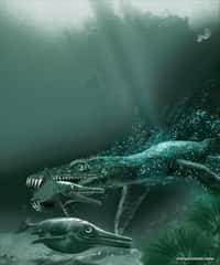 Figure 5. Un pliosaure chassant un ichtyosaure au Jurassique. Crédit : Tor Sponga, BT