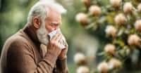 Des chercheurs de l’université du Michigan (États-Unis) font le lien entre pollen dans l’air et mortalité des personnes âgées. Un lien inquiétant alors que la quantité de pollen dans notre atmosphère ne cesse d’augmenter avec les changements climatiques. © Echt&amp;Klreativ, Adobe Stock