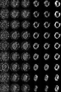 Les images brutes (à gauche) de l'apolipoprotéine A1 prises sous différents angles, une fois traitées à l'ordinateur révèlent sa structure 3D (à droite) avec l'Ipet. © Lawrence Berkeley National Laboratory