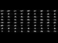 Ce montage de 72 images de l'astéroïde 2012 DA 14 obtenues par le radar de Goldstone dans la nuit du 15 au 16 février 2013 permet d'observer la rotation de ce corps céleste, dont le côté le plus long mesure 40 m. © Nasa, JPL, Caltech
