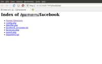 Capture d'écran de la console de gestion de Ramnit avec le fichiers comportant les identifiants de comptes Facebook. © Seculert