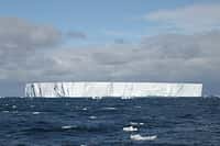 Désertique en apparence, W-86, l’un des deux icebergs étudiés par Ken Smith et ses collègues, fertilise et envoie par le fond des tonnes de carbone. Crédit : Kim Reisenbichler