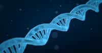 Une étude montre qu’avoir connaissance des résultats d’un test génétique peut influer non seulement sur notre volonté, mais directement sur notre physiologie. © qimono, Pixabay, CC0 Creative Commons
