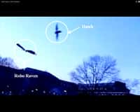 Un faucon attaque Robo Raven en plein vol. © Capture d'écran, UMDRobotics, YouTube