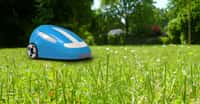 Lassé de tondre la pelouse toute l’année ? Le robot tondeuse est désormais suffisamment efficace et abordable pour représenter une véritable alternative. © Julien Tromeur, Shutterstock