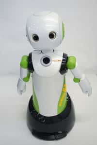 Le secteur de la robotique est en pleine émergence. Ce petit robot nommé Robovie-R aide les personnes âgées. © Vstone 