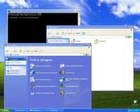Microsoft n’assure plus le support de Windows XP depuis le 8 avril dernier. Ainsi, il ne proposera aucune mise à jour pour corriger la faille critique touchant Internet Explorer pour cette version de l’OS. © DR