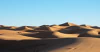 En analysant des poussières, des chercheurs du Massachusetts Institute of Technology (MIT, États-Unis) ont découvert que le Sahara a tendance à basculer entre étendue de verdure et désert tous les 20.000 ans, en phase avec l’évolution de l’inclinaison de la Terre. © Ferran Feixa, Unsplash