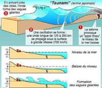 Schéma du mécanisme d'un tsunami (Crédit : Terre et Volcan).