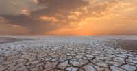 Des chercheurs de l’université du Texas à Austin (États-Unis) soulignent que les sécheresses éclair surviennent bien plus vite aujourd’hui qu’il y a vingt ans. © yotrakbutda, Adobe Stock