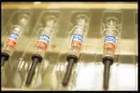 Les vaccins contre la grippe saisonnière sont disponibles en pharmacie depuis vendredi 28 septembre. D'une année sur l'autre, les souches responsables de la maladie&nbsp;changent, obligeant les laboratoires à revoir leurs préparations tous les ans.&nbsp;© Alain Grillet, Sanofi Pasteur, Flickr, cc by nc nd 2.0