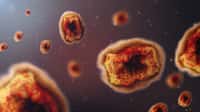 Une forme particulièrement grave de la variole du singe, aussi dénommée « mpox », a été repérée chez des patients infectés par le VIH. © Kontekbrothers, Getty Images