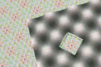 Un schéma de la cellule élémentaire carrée d'un cristal de Skyrme formée de quinze atomes de fer. Les cônes colorés indiquent l'orientation du moment magnétique propre de l'atome. Chaque carré contient un skyrmion. © Université de Hambourg