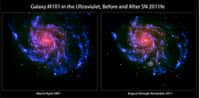 La galaxie spirale M101 observée en 2007 à gauche et en novembre 2011 à droite. La supernova SN 211 fe est visible en ultraviolet sous la forme d'une seule source ponctuelle. © Nasa/Swift/Peter Brown, Univ. of Utah