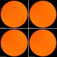Ces quatre images proposées par le satellite solaire Soho montrent l'évolution quotidienne des groupes de taches solaires observables la seconde semaine de février. Crédits : Nasa