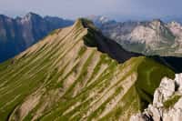 En Europe, quatre sommets culminent à plus de 5.000 m (tous dans le Caucase) et leur flore est menacée par le réchauffement climatique. &copy; mll, Flickr, cc by nc 2.0