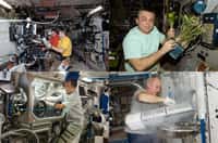 Maintenant que l’ISS est achevée à plus de 90%, le temps disponible pour faire de la science et de la recherche va augmenter. Ici, l’équipage 22 réalisant des expériences. Crédit Nasa